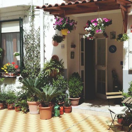 Casa Lena B&B Napoli Dış mekan fotoğraf